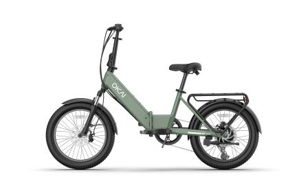 FlexMov EBF10 Folding EBike (Option: EBF10 Green)